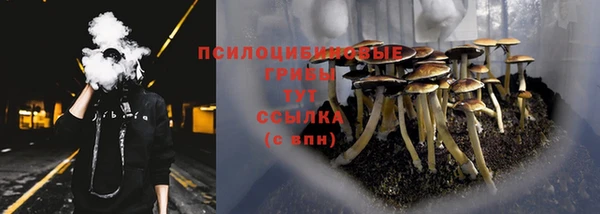 СК Беломорск