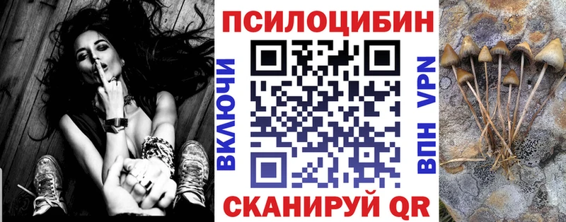 Галлюциногенные грибы Cubensis Пустошка
