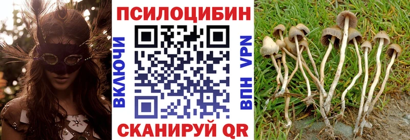 Галлюциногенные грибы прущие грибы  Купить где  Пустошка 